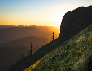 Dog Mountain’s Radiant Slopes