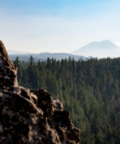 South Sister: Through the Pines